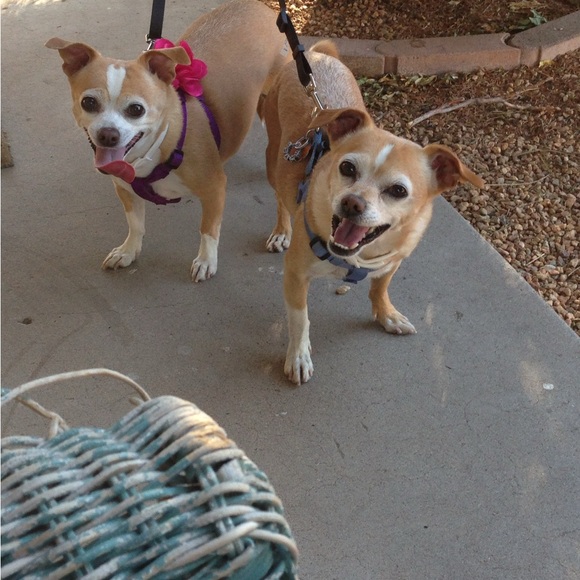 Meet your Posher, Tina - Picture 13 of 15